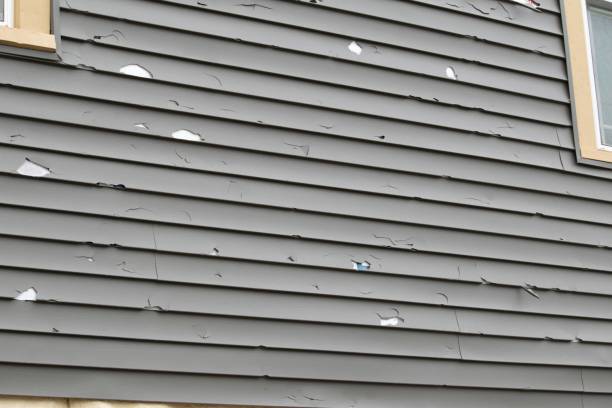 Trusted Miami Lakes, FL Junk Removal Experts