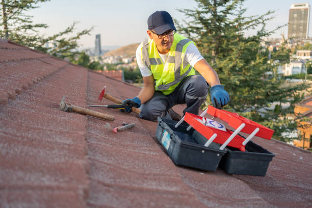 Best Shed Removal  in Miami Lakes, FL